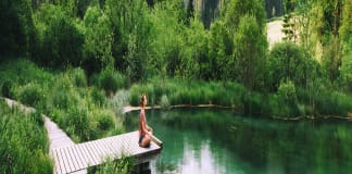 Forest bathing, mindful het bos in om je ware natuur te vinden forest bathing
